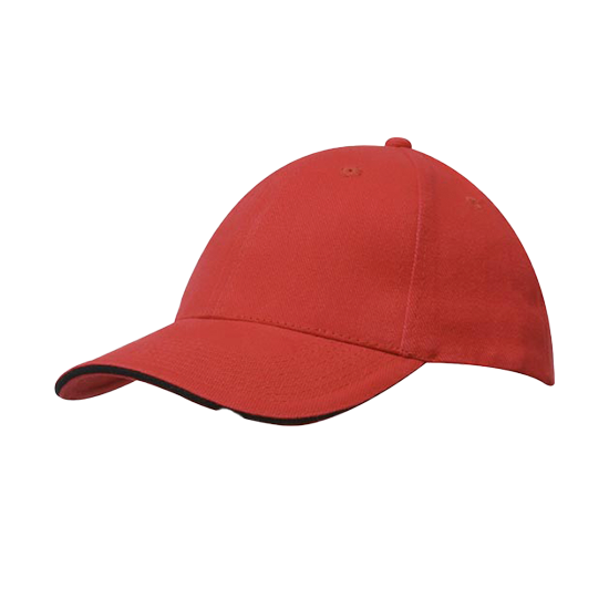 Brushed Heavy Cotton Cap with Sandwich Trim - 4210