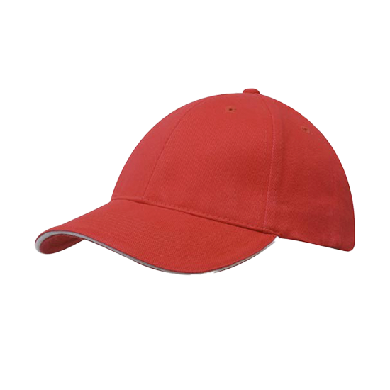 Brushed Heavy Cotton Cap with Sandwich Trim - 4210