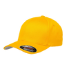 6277 Worn By The World Baseball Cap